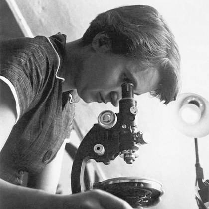 Rosalind Franklin looking through a microscope in 1955