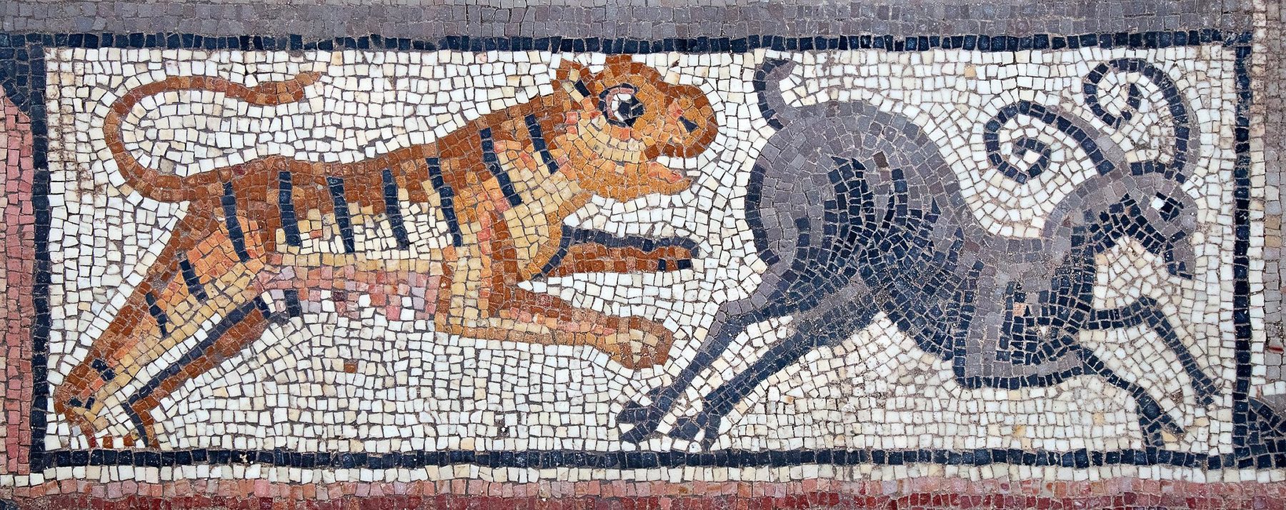 Detail of the Huqoq synagogue mosaic showing a tiger chasing a Nubian ibex, rendered in coloured stone tesserae.