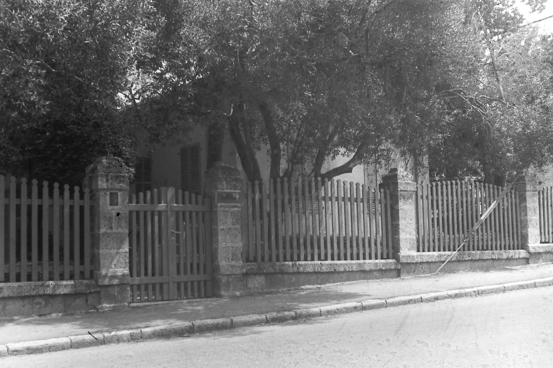 The Aaronsohn family house in Zichron Ya'akov, a stone building with arched windows surrounded by mature trees and a wooden fence
