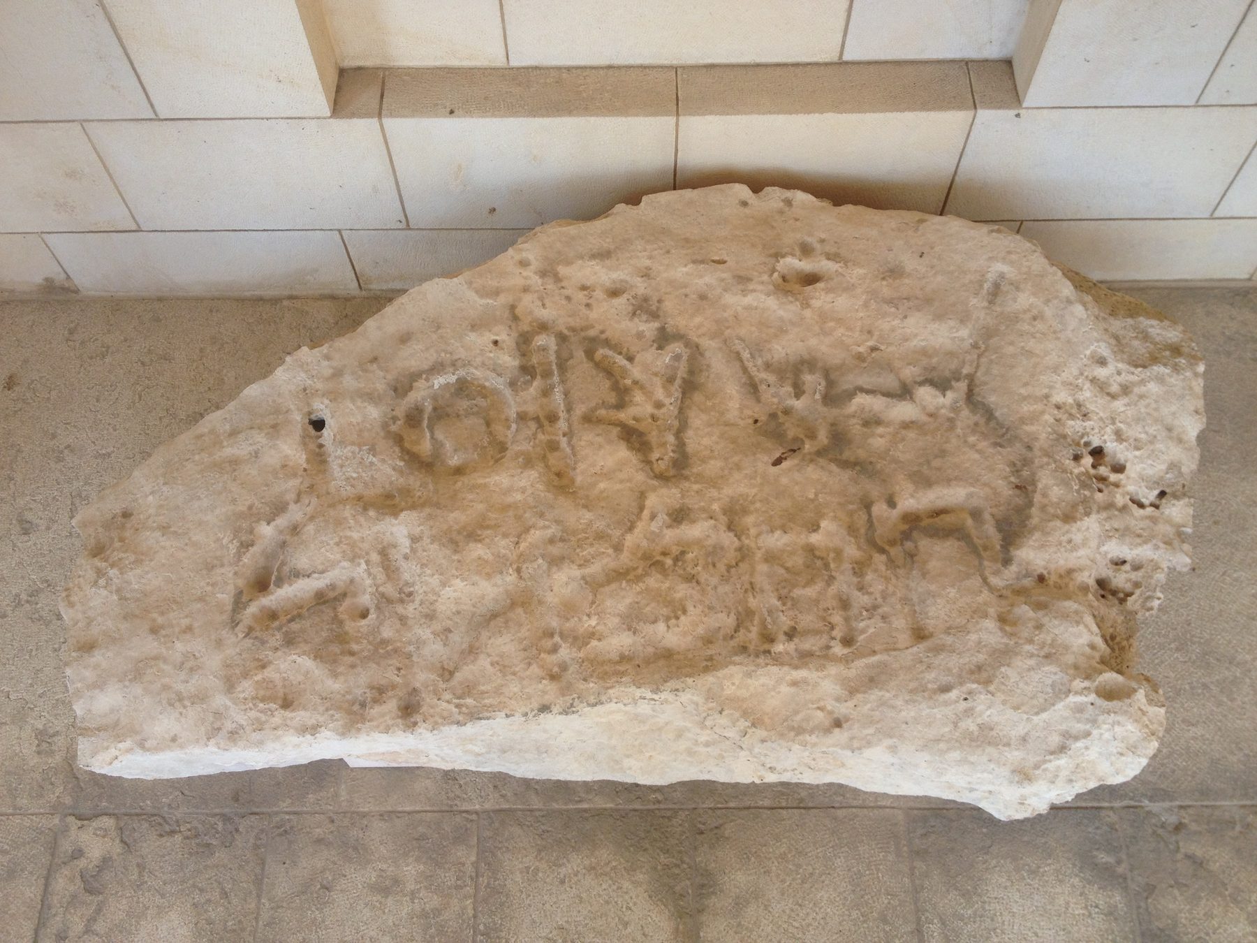 Ancient limestone stone inscribed with Hebrew text, displayed indoors in a museum setting