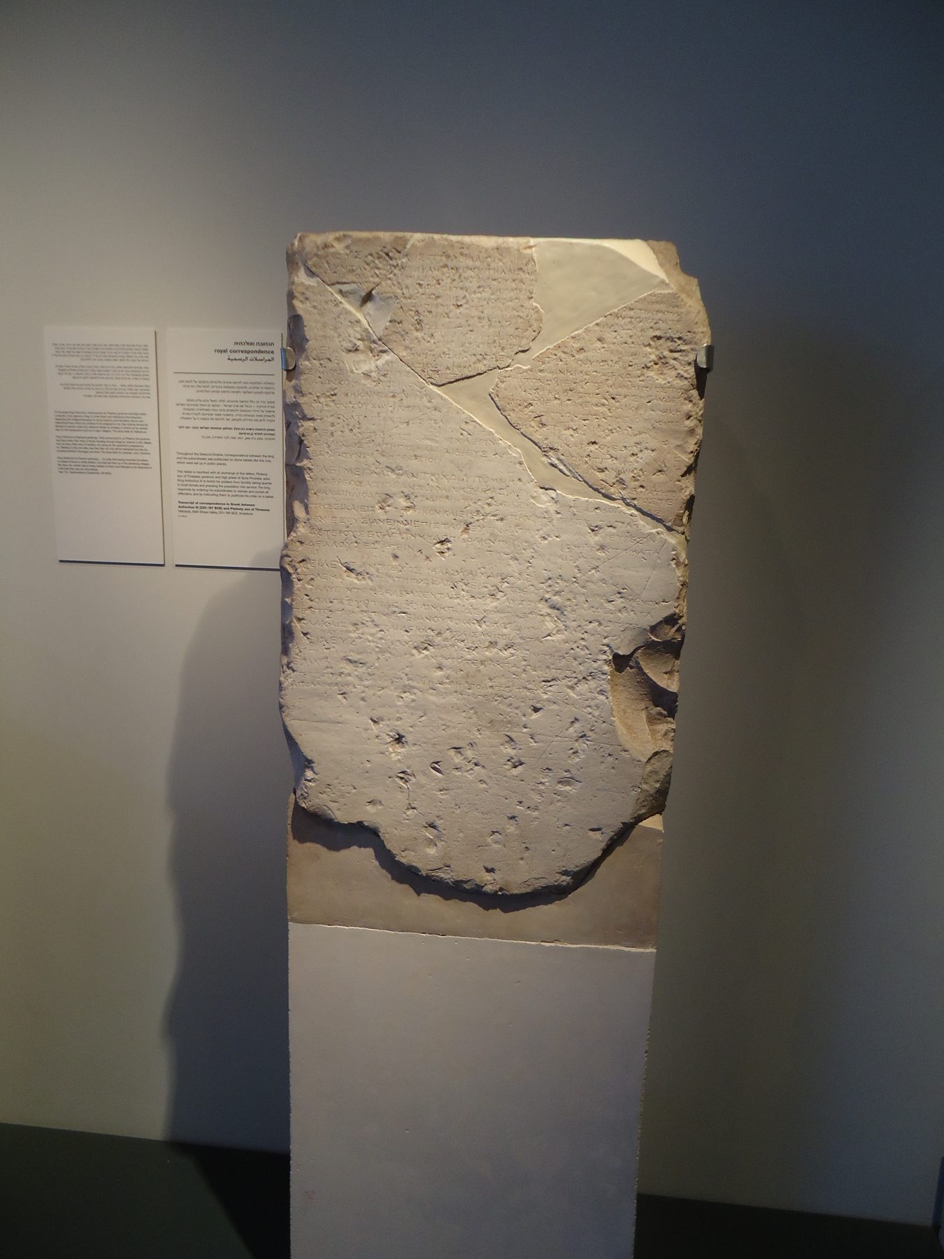 Limestone stela with Greek inscriptions, displayed in a museum setting