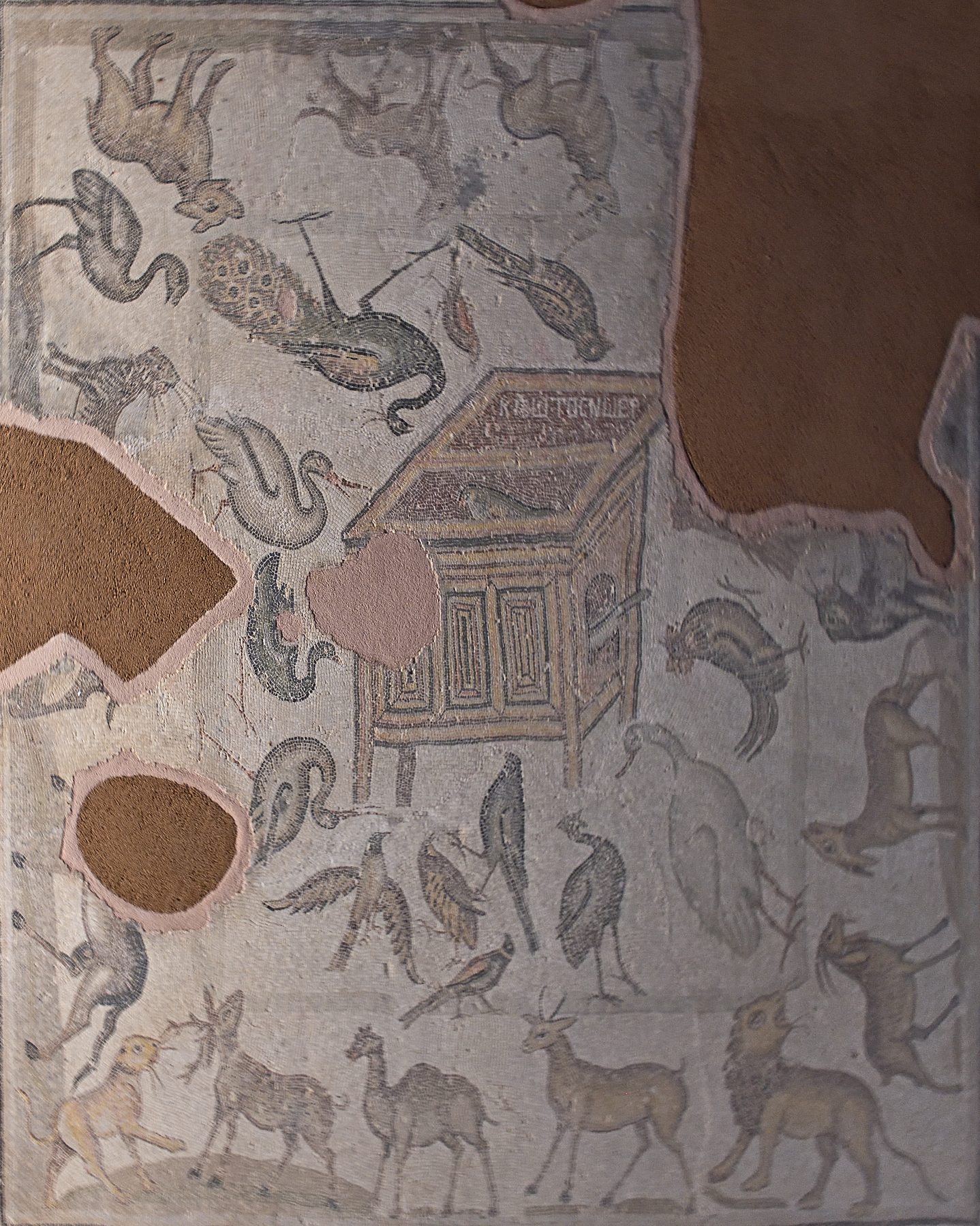 Noah panel mosaic with animals and ark from the Mopsuestia synagogue floor, southern Cilicia