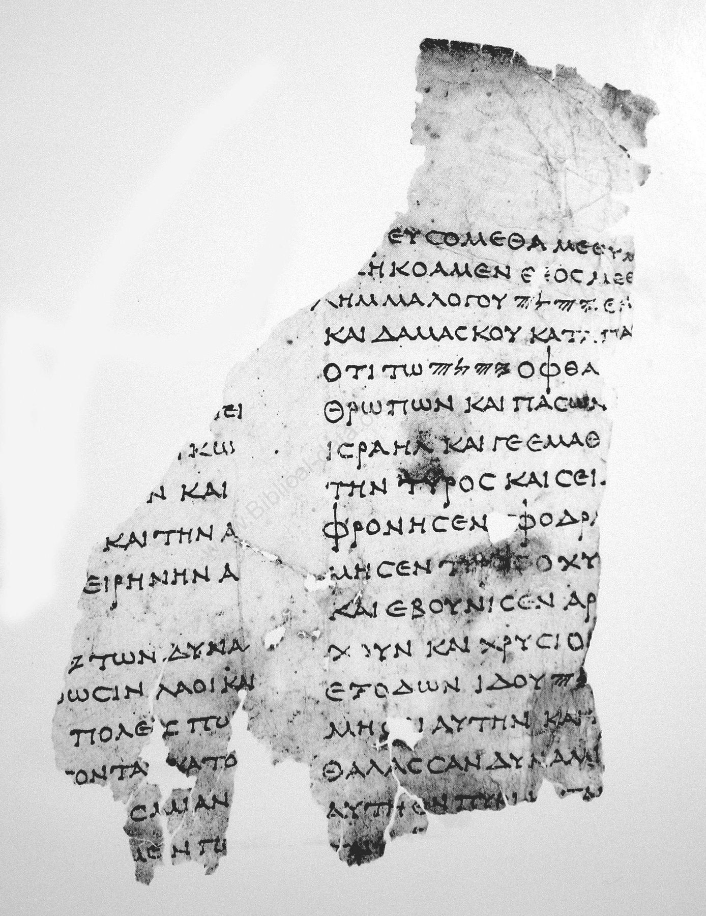 Papyrus fragment bearing Greek text from the Nahal Hever Minor Prophets scroll