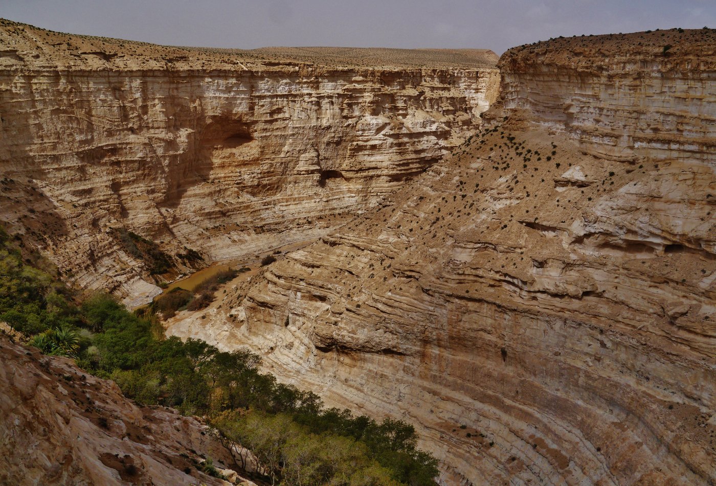 Sheer-walled desert canyon in the Negev